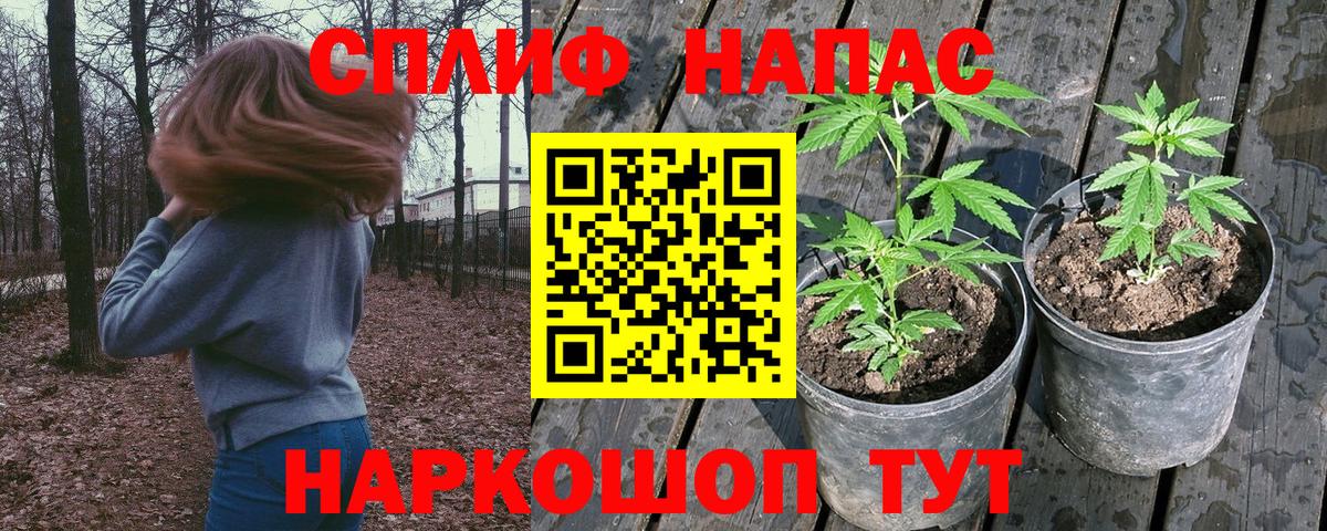 Бошки Шишки сатива  Каннабис MAZAR  Канабис план  Нижневартовск  Вход с VPN  МАРИХУАНА семена 